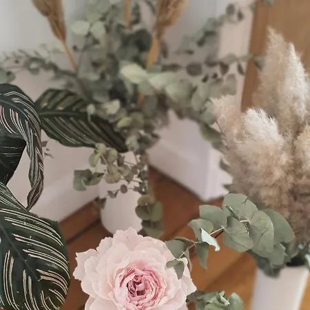 D'hote Les Flolies Du Bord De Marne Bed & Breakfast *